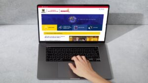 Consulta con cédula Ingreso Mínimo Garantizado